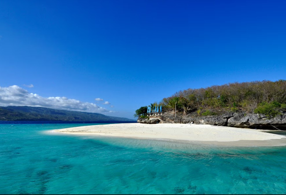 Whale Shark Watching in Oslob Town with Sumilon Island & Tumalog Falls Tour in Cebu Province