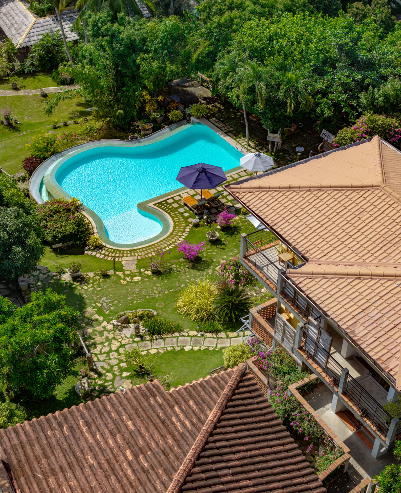 4 Days Stay at Amarela Resort Bohol + Hotel Transfer